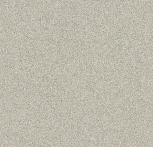 Oyster Shell 2206 Insert